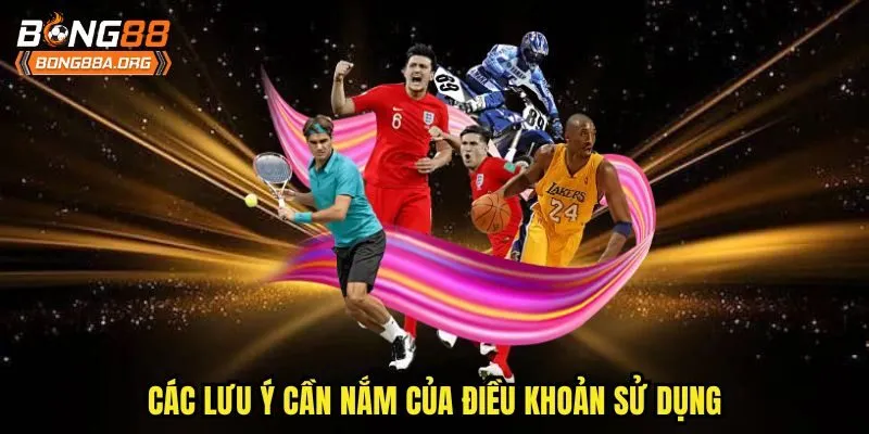 Các lưu ý cần nắm của điều khoản sử dụng 