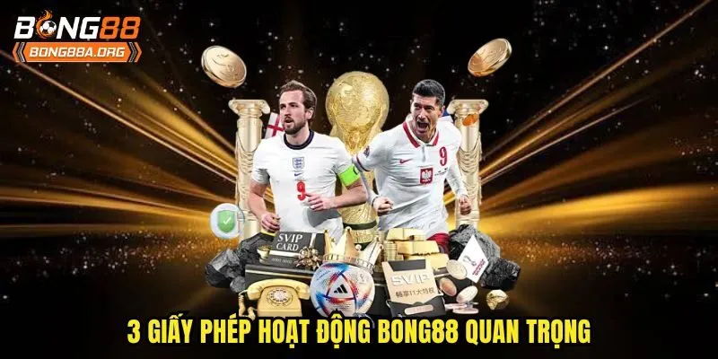 3 giấy phép hoạt động bong88 quan trọng