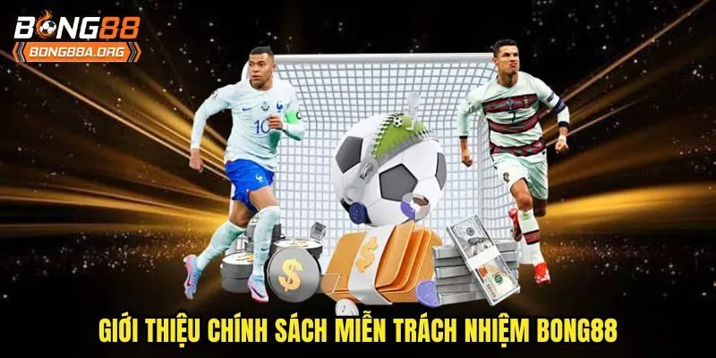 Giới thiệu chính sách miễn trách nhiệm bong88